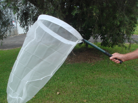 Foldable Insect/Butterfly Nets – Complete – Fibreglass
