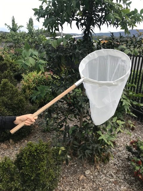 Insect Sweep Nets (Complete) - Ento Supplies